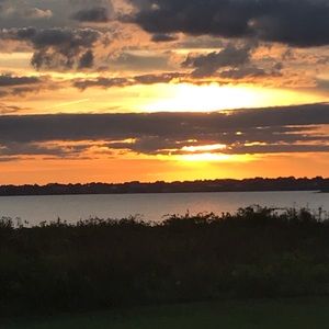 Meet your Posher, Suzanne